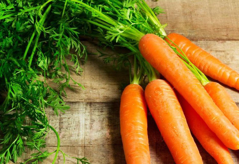 Продукты, которые нужны нашему организму осенью