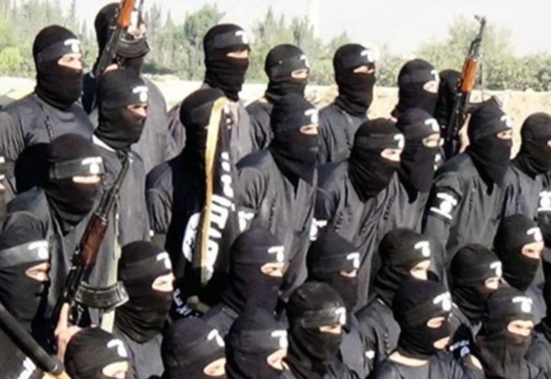Terrorçular kütləvi şəkildə Suriyadan qaçır