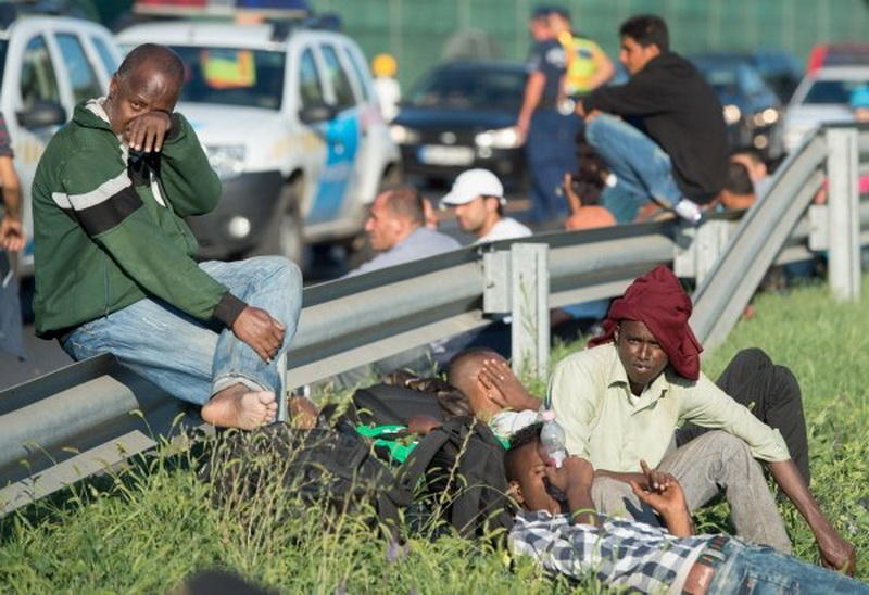 Беженцев из Сирии и Ирака обнаружили в странном месте