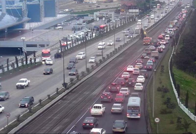 Посмотрите, какой ужас тут каждый день