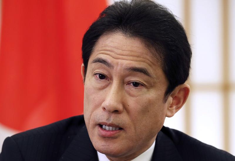 Глава МИД Японии встретился с Роухани