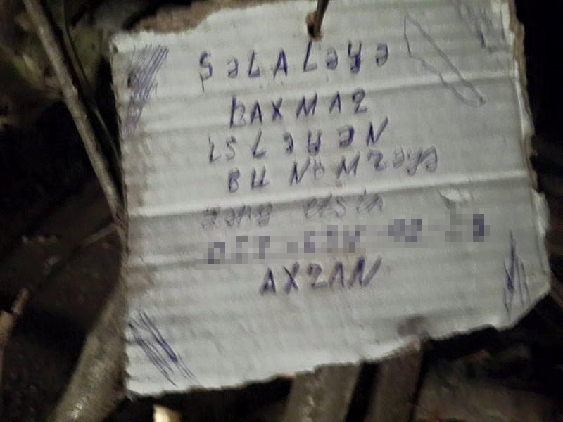 Гости знаменитого габалинского водопада в ужасе