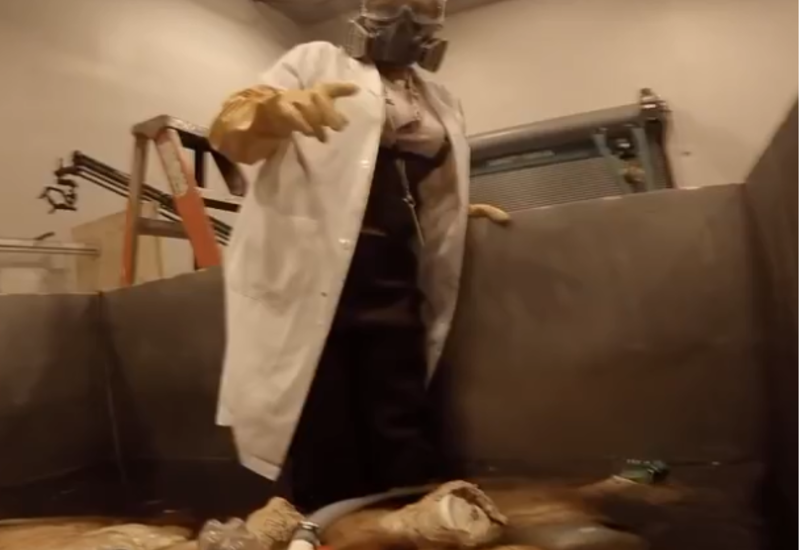 Сердце синего кита. Его масштабы поражают воображение!