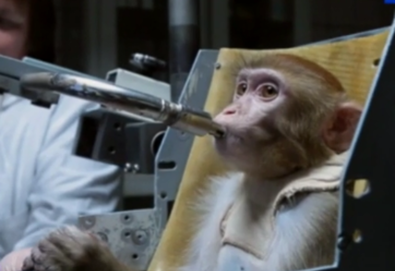 Планета обезьян - 2015