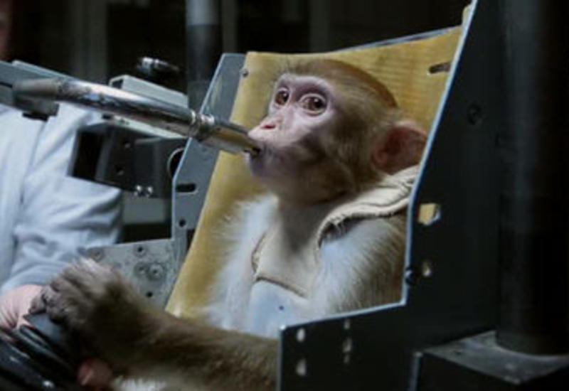 Вот кого Россия решила отправить на Марс