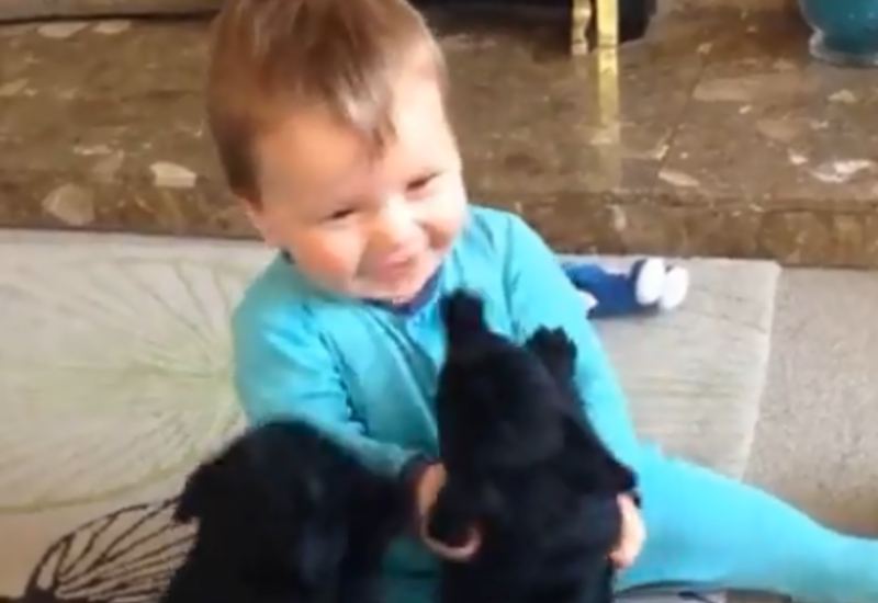 Самое милое видео, которое вы только видели