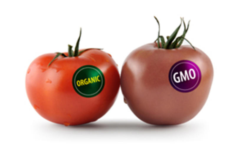 Продуктам с ГМО нужна маркировка