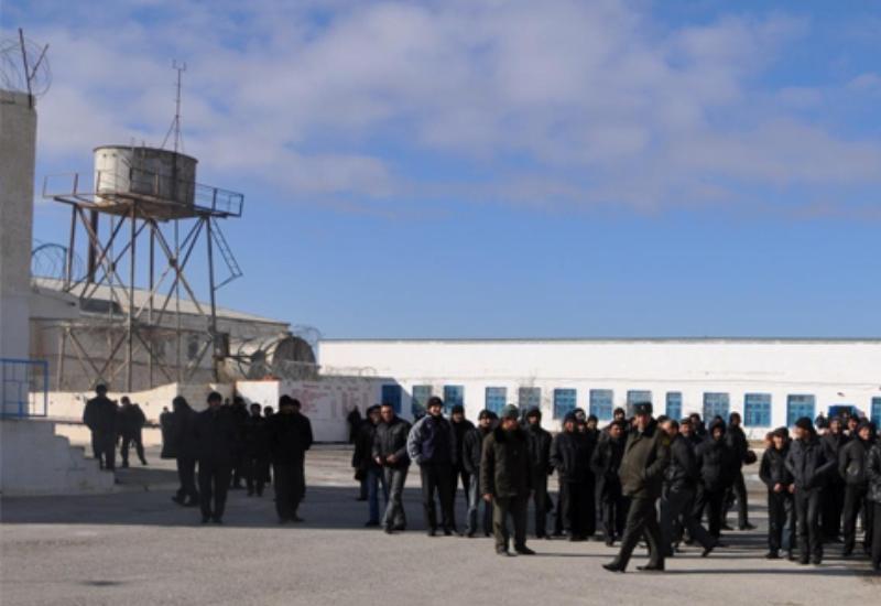 Azərbaycanda əfv sərəncamının icrası başa çatdı