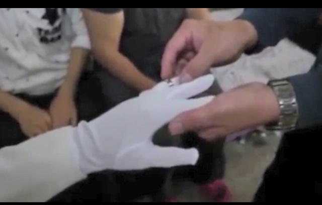 Мужчина женился на прахе своей возлюбленной