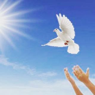 Afaq Gəncəlidən qəmli şeir