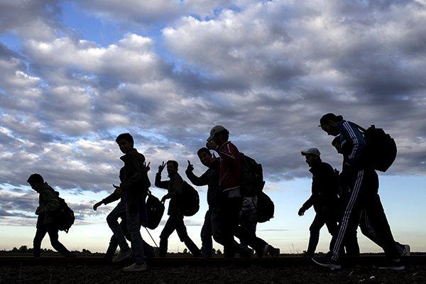 Беженцы привезли в Европу страшные болезни