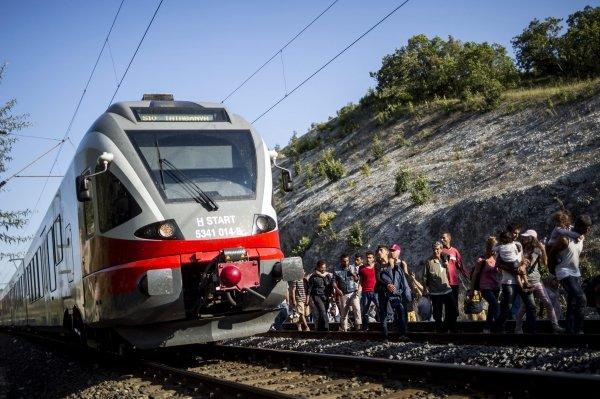 Беженцы привезли в Европу страшные болезни