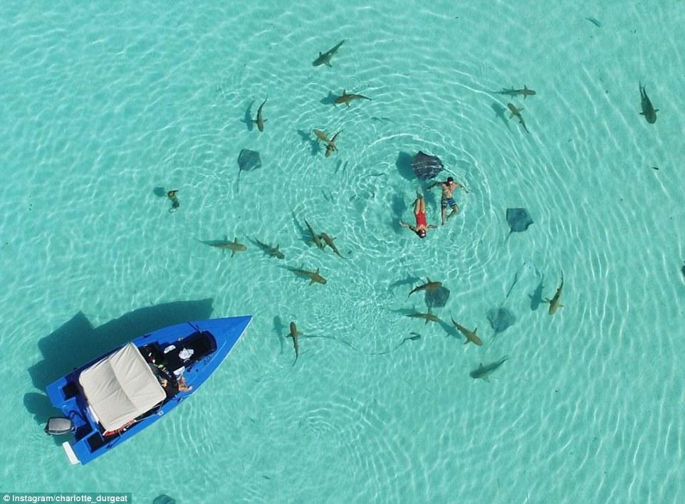 Пара стала знаменита и богата благодаря своим путешествиям