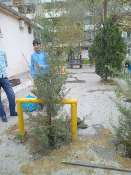 В Баку собираются уничтожить парк?