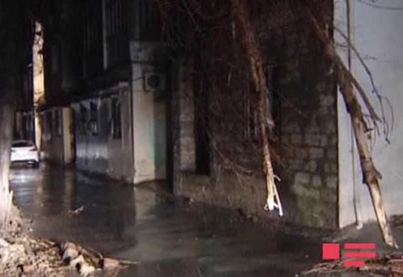 Bakıda ağac aşdı, 3 avtomobili əzildi