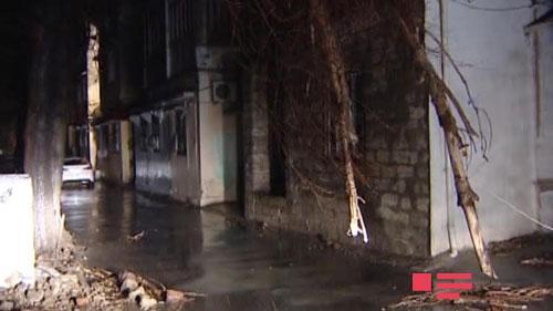 Bakıda ağac aşdı, 3 avtomobili əzildi