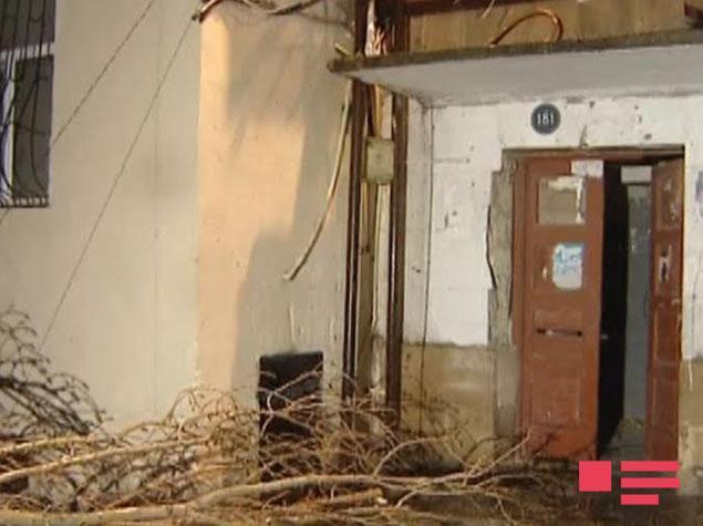 Bakıda ağac aşdı, 3 avtomobili əzildi