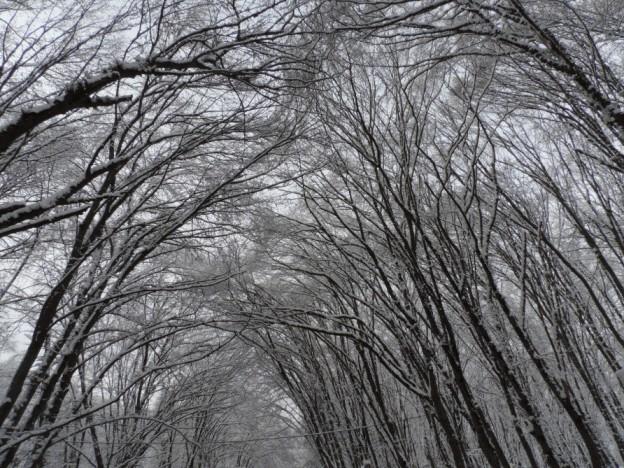 Qubanın əsrarəngiz qış mənzərələri