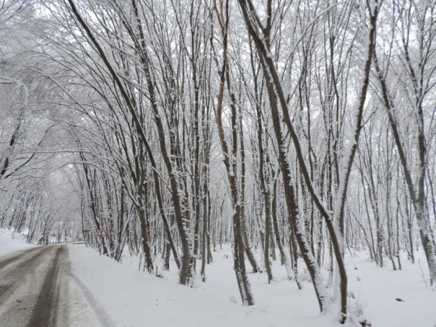 Qubanın əsrarəngiz qış mənzərələri