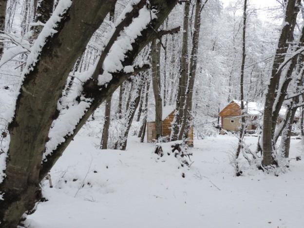 Qubanın əsrarəngiz qış mənzərələri