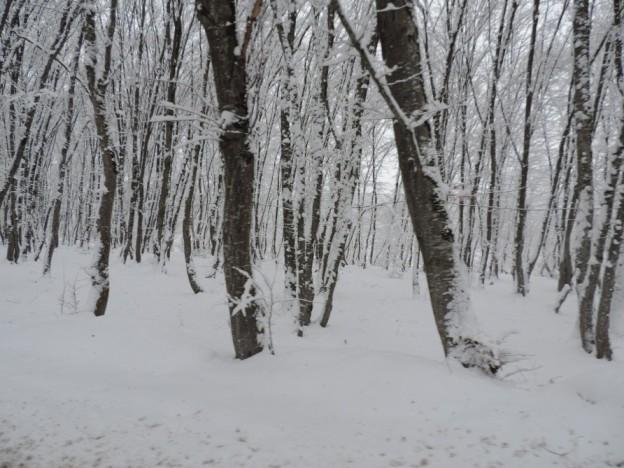 Qubanın əsrarəngiz qış mənzərələri