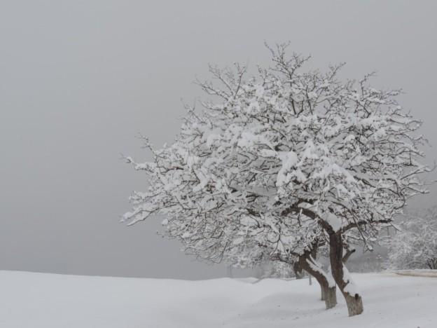Qubanın əsrarəngiz qış mənzərələri