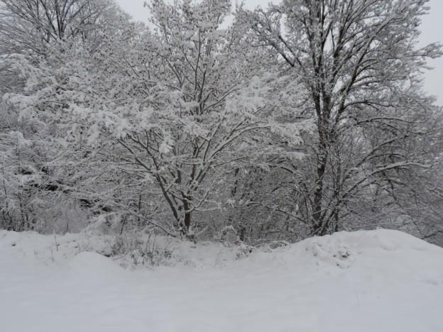 Qubanın əsrarəngiz qış mənzərələri