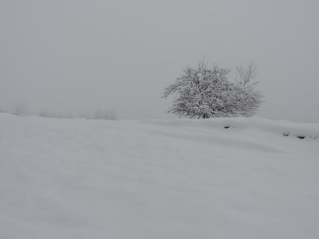 Qubanın əsrarəngiz qış mənzərələri