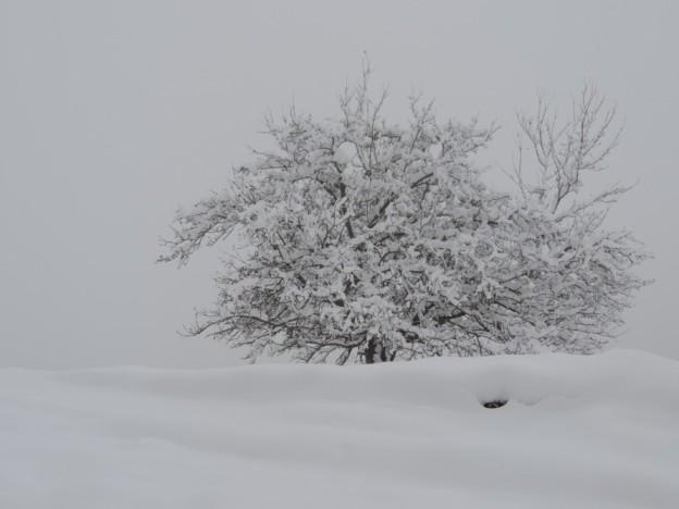Qubanın əsrarəngiz qış mənzərələri