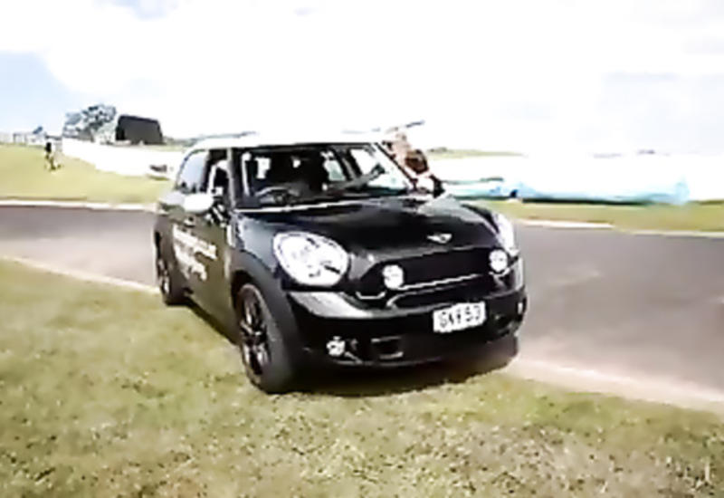 Умение этих собак вас поразит