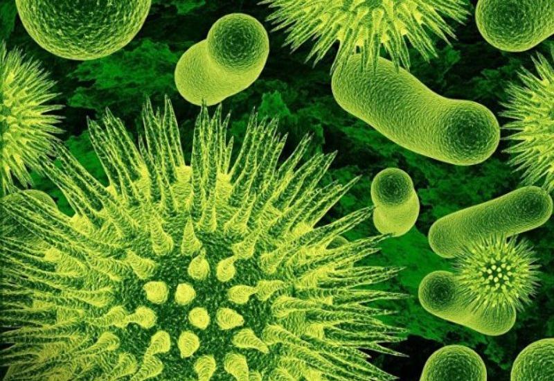 Роспотребнадзор рассказал, что делать при обнаружении симптомов коронавирусной инфекции