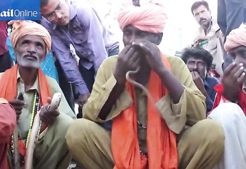 Это стоит увидеть: мужчина "заглатывает" змею носом