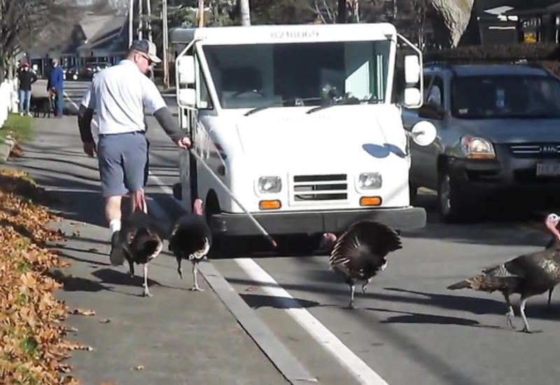 Трудовые будни почтальона