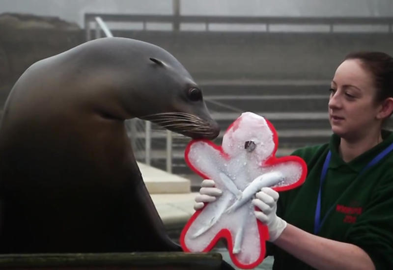 Праздник должен быть для всех