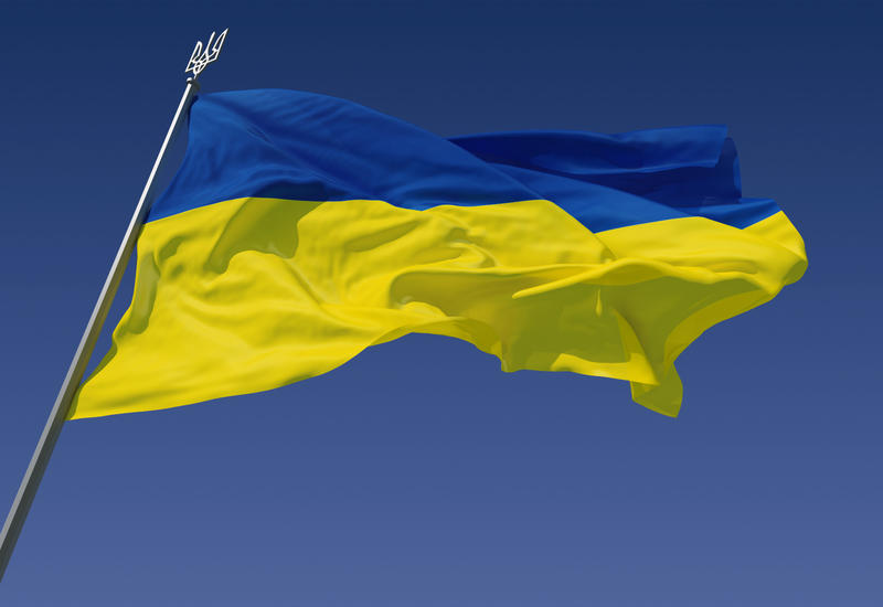 Шахин Мустафаев на переговорах с президентом Украины