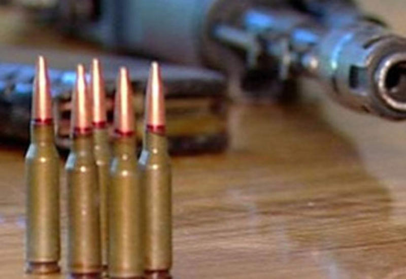 Nardaranda polisin növbəti əməliyyatı: silah-sursat aşkar edildi