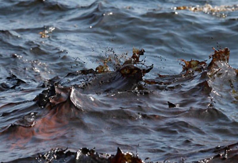 Azərbaycandan Xəzər dənizinə axıdılan 239 axar müəyyənləşdirildi