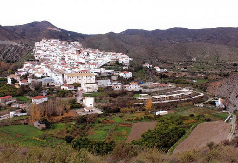 Cамые нелепые войны в истории