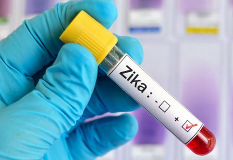 Вирус Зика: что это такое и стоит ли волноваться