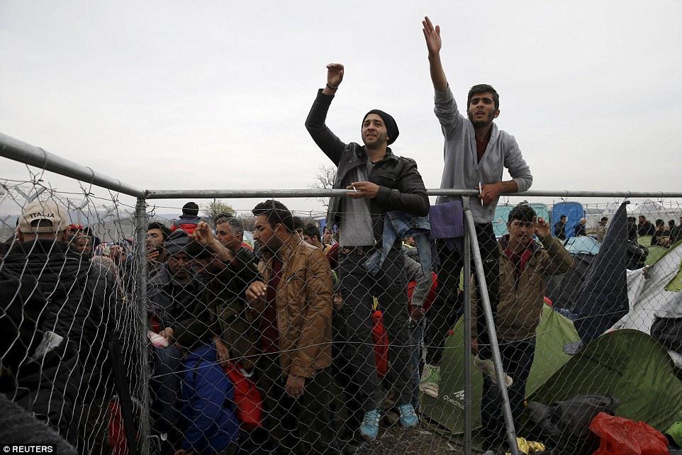 Çörək və odun paylanması zamanı izdiham