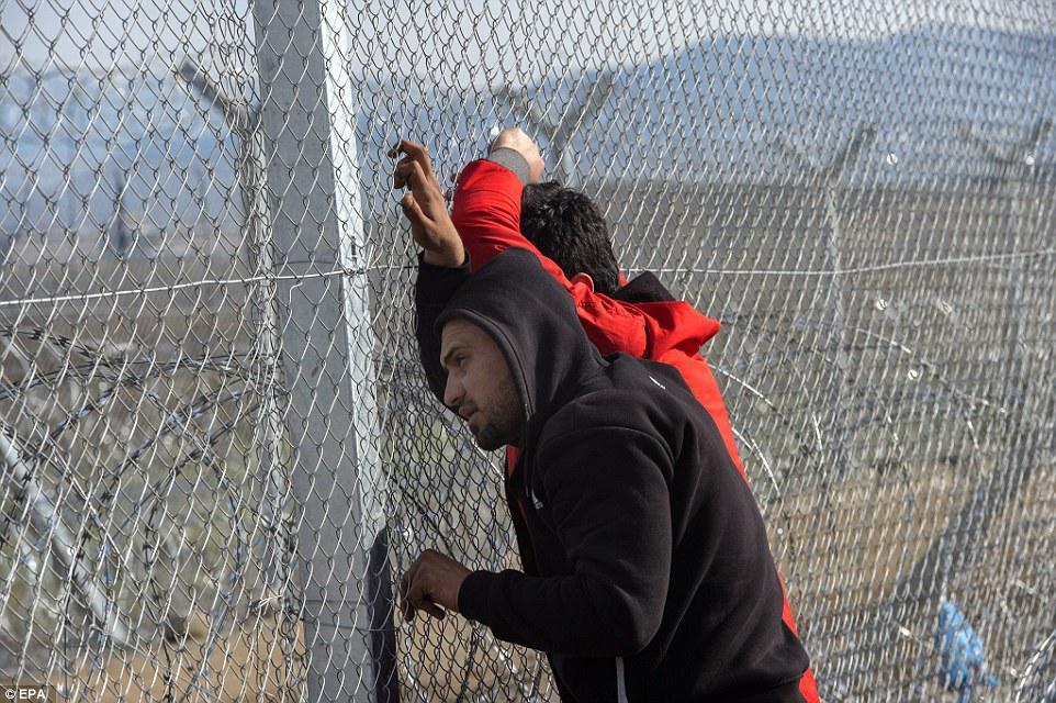 Çörək və odun paylanması zamanı izdiham