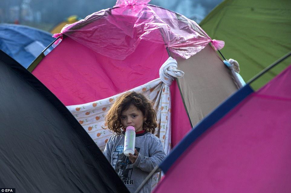 Çörək və odun paylanması zamanı izdiham