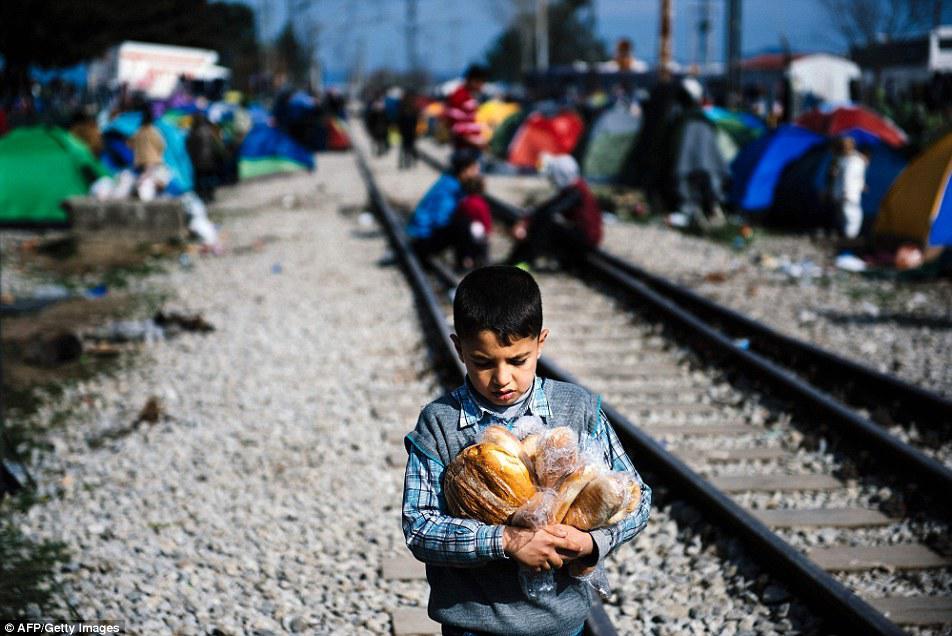 Çörək və odun paylanması zamanı izdiham