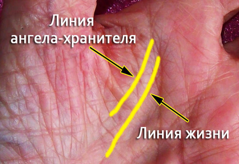 Очень мало людей имеют линию Ангела-хранителя на ладони. И вот что она значит!