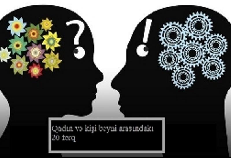 Qadın və kişi beyni arasında