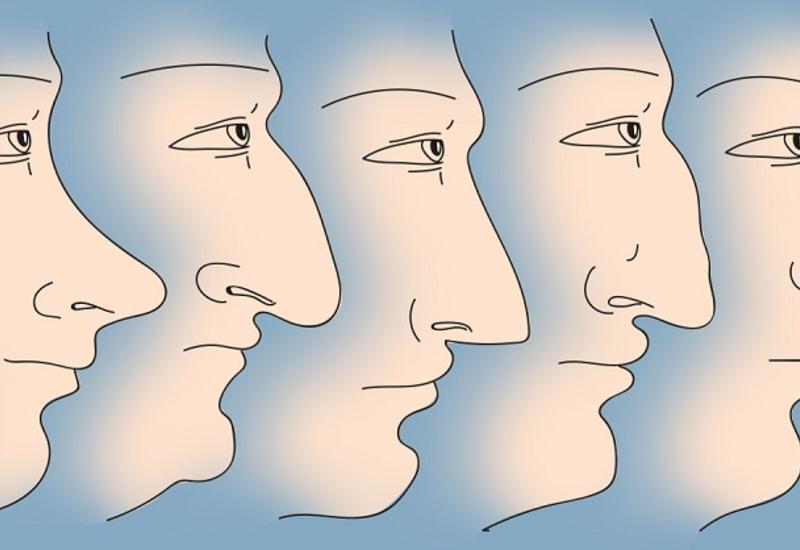 Вот что форма носа может поведать о твоем характере