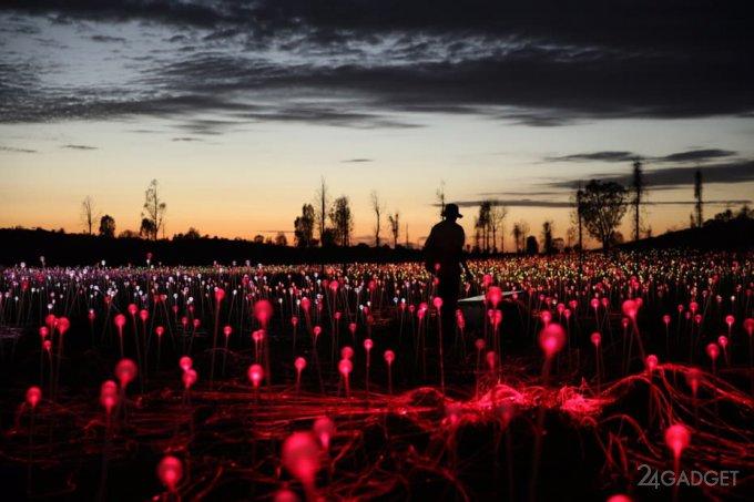 Невероятная световая инсталляция из 50 000 светодиодов