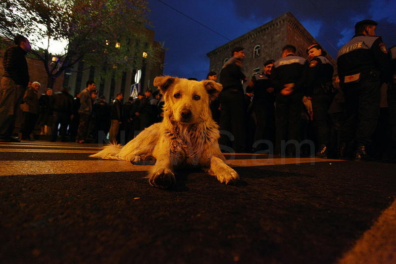 Антироссийский митинг в Ереване