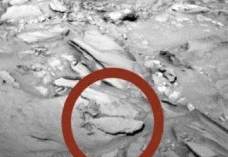 NASA dünyanı şoka saldı