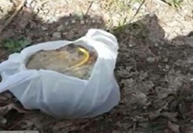 Türkiyədə şagirdlər bomba tapdılar
